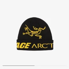 2025年最新】palace arc'teryx ビーニーの人気アイテム - メルカリ