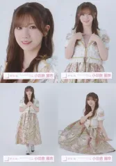 【中古】生写真(乃木坂46) ◇櫻坂46/小田倉麗奈/櫻坂46ランダム生写真【「5th TOUR 2025 “Addiction”」ライブ衣装】 4種コンプリートセット