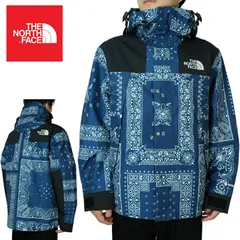 ノースフェイス日本未発売THE NORTH FACE メンズ マウンテンパーカーNOVELTY GTX MOUTAIN JACKET ノベルティ ゴアテックス マウンテン ジャケットGORETEX 防水 防水透湿性 防風バンダナ柄 ペイズリー PAISLEYピ