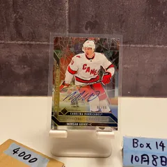 2020-21 UPPER DECK Morgan Geekie 93/99 直筆サインカード Carolina Hurricanes カード