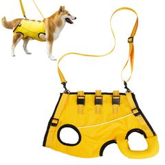 Item thumbnail for item e0122aab-11aa-4f4f-9453-597232c85dd0