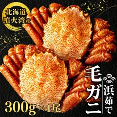 能登七尾　城山焼　國下三郎作　蟹　箱付　Z　8537 能登七尾 城山焼 國下三郎作 蟹 箱付 Z 8537