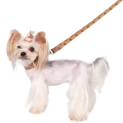 新品　ペット用品 ベーシック首輪 犬の首輪 セット 犬首輪 猫 リード 小型犬 中型犬 首輪 調節可能 犬 革 おしゃれ Paipeper 迷子札チョーカー（カーキ（首輪＋リード）Ｍ）