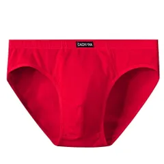 ブリーフ メンズ 綿 前閉じ ショーツ 大きいサイズ 無地 パンツ ストレッチ 吸水 通気 蒸れない 敏感肌 シンプル すっきり おしゃれ 男性 下着 赤 青 紺 ms-005