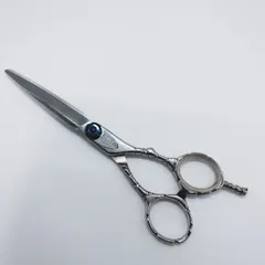 2025年最新】ロイヤルマスターシザーの人気アイテム - メルカリ