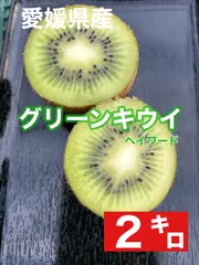 愛媛県産グリーンキウイ（ヘイワード）2㌔　⭐︎北海道・沖縄の方は別途送料がかかります