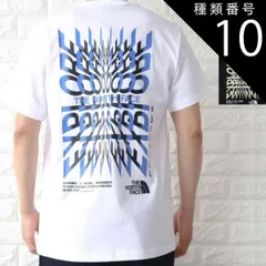 種類10:WHITE（ホワイト）/L ザ ノースフェイス ロゴ Tシャツ メンズ バックプリント ブラック ホワイト 男女兼用 THE NORTH FACE NF0A87ED