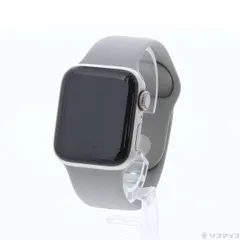 〔中古品〕 Apple Watch Series 6 GPS + Cellular 40mm チタニウムケース ライトグレースポーツバンド【258】