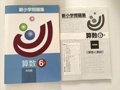 SAPIX サピックス SS特訓 早稲田系対策プリント 国語 【全14回分フル