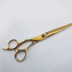 2026年最新】ドラゴンクローシザーの人気アイテム - メルカリ