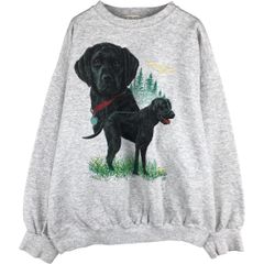 美品】SHAREEF DALMATIAN