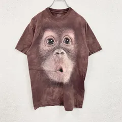 【3点以上まとめ買いで20%OFF】古着 used　THE MOUNTAIN　ザマウンテン　半袖プリントTシャツ　アニマルT　タイダイ　茶色　ブラウン　Ｍサイズ