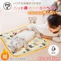 Item thumbnail for item e7e84d31-a7c8-4d4d-aa70-0a7b1057ff54