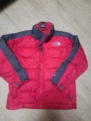 ザノースフェイスグースキッズ120