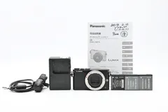 2025年最新】LUMIX GM1の人気アイテム - メルカリ