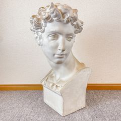 FIGARO maruman レディース 10本 右利き用 ignio - メルカリ