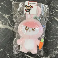 10. SEVENTEEN 2019 JAPAN TOUR ’HARU’ 着ぐるみ BONGBONG