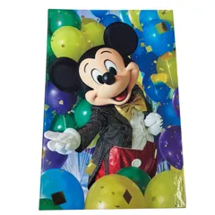 186000 現状品 Disney ディズニー 東京ディズニーリゾート イマジニングザマジック コレクションカードホルダー カード50枚付き