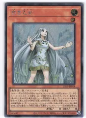 2025年最新】白き乙女 25の人気アイテム - メルカリ