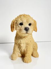カスターニャ ヨークシャーテリア オブジェ イタリア製 犬 置物 1988 