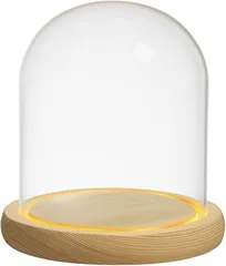 All Trust デスクライト LED ショーケース コレクションケース フィギュアケース (筒形, 12cm)