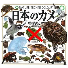 ネイチャーテクニカラー 日本のカメ 特装版 × 5種セット ガチャ ガチャガチャ かめ カメ 亀 フィギュア 2. ヤエヤマセマルハコガメ 3. リュウキュウヤマガメ 4. アカウミガメ 5. アオウミガメ(幼体) 6. タイマイ