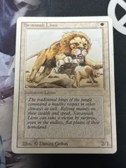 2025年最新】サバンナ mtgの人気アイテム - メルカリ