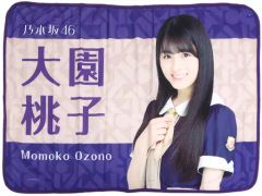 大園桃子 ブランケット 2020 - メルカリ 大園桃子 ブランケット 2020