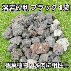溶岩石 ブラック 1袋　多孔質 軽量 観葉植物 多肉 化粧石 ロックガーデン 水はけ 根腐れ対策