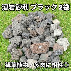2kg 化粧石 砂 マルチング デコジャリ ブラック アガベ 化粧砂 土 222