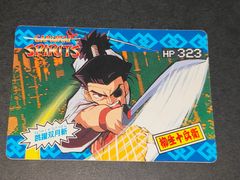 交渉歓迎 CA9-3 餓狼伝説 テリー ボガード 02 スペシャル プリズム