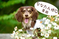 ななたん様♡専用