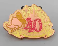 【中古】バッジ・ピンズ ドナルドダック ピンバッジ 「東京ディズニーリゾート40周年“ドリームゴーラウンド”」 東京ディズニーランド限定 ジャングルカーニバル ゲーム景品