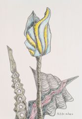 三原彰彦 サロン・ドトーヌ入選作家 [cat]ドローイング 原画 筆ペン