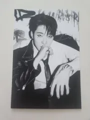 SEVENTEEN(セブンティーン・セブチ) ウォヌ(WONWOO) HAPPY BURSTDAY ハッピーバーストデイ LP エルピー はがき