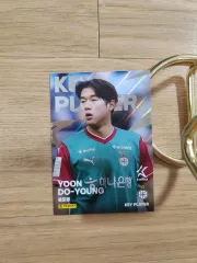 25 panini 大田ハナシチズン ユン・ドヨン パラレル サッカーカード