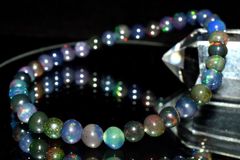 Item thumbnail for item e1cbcf06-557d-4a39-837d-ead9f820e43c