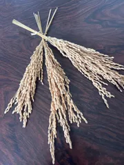 迎春、お正月飾りなどに稲穂ドライフラワー、スワッグ材料，リースしめ縄正月、節分、縁起物、厄除け、神棚などに稲穂５本３セット