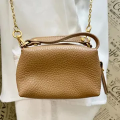 ジャンニキャリーニ マイクロ アリファ ポーチ ショルダー チェーン FX235