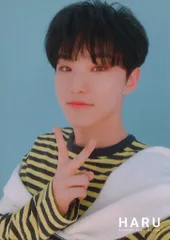 SEVENTEEN HOSHI 2019 HARU トレーディングカード 67 *イタミ