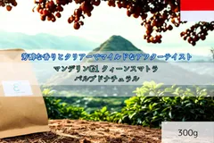 (新発売)マンデリンG1 クィーンスマトラ パルプドナチュラル 300g マンデリンコーヒーが持つ芳醇な香りと柔らかい甘味、雑味の無いクリアーでマイルドなアフターテイストが楽しめる
コーヒー豆！自家焙煎コーヒー豆 注文後焙煎