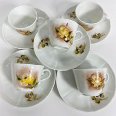 ドイツ製 Villeroy&Boch パークランドカップ＆ソーサ－5客セット