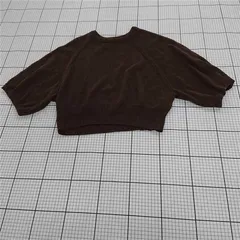 ◇ ⊇ 【ザラ ZARA】ブラウン系 半袖ショート丈ニットトップス レディースLサイズ E  【1509300015183】