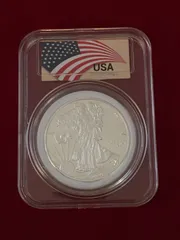 2025年最新】アメリカ イーグル銀貨の人気アイテム - メルカリ