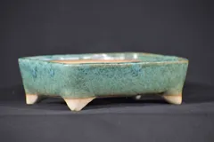 2025年最新】鉢 祥石の人気アイテム - メルカリ