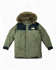 THE NORTH FACE ザ・ノース・フェイス ND91935 MOUNTAIN DOWN COAT ニュートープ  GORE-TEX ゴアテックス マウンテン ダウン コート ジャケット