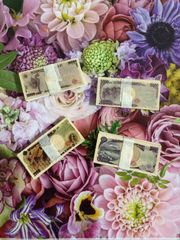 Item thumbnail for item 2fb04025-2684-4c18-a30b-90c23c79d5e3