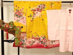 Item thumbnail for item 50336bed-b29d-4ee1-aea1-5464bc9d72af