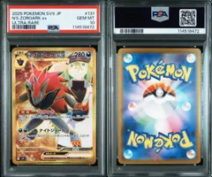 2025年最新】ゾロアーク UR psa10の人気アイテム - メルカリ