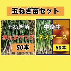 2025年最新】玉ねぎ ネオアースの人気アイテム - メルカリ